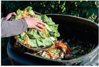 The Art of Composting: Knowing the Basics